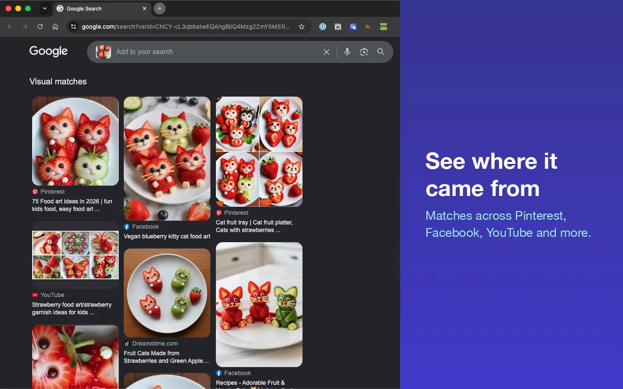See where it came from — Google Lens visual-match results for the searched image.